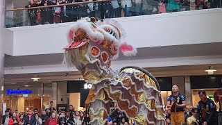 Yakthung (Limbu) | Lion Dance in Southampton | Chinese New Year | Yakthung Family