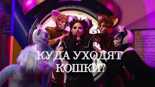 Куда уходят кошки — НайдИ x CircusZone