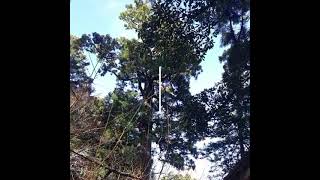 糸島市雷山の雷神社