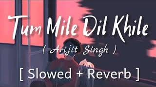 Tum mile dil khile (slowed+reverb) lofi love music || Arijit singh ||