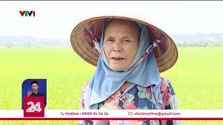 Lo ngại đầu cơ đất nông nghiệp | VTV24