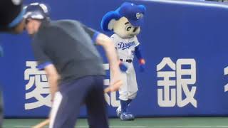 【ドアラ】9月21日バク転🐨悔しいドアラさん