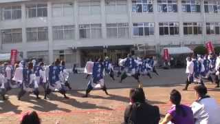 秋田大学よさこいサ－クルよさとせ歌舞輝in秋大祭２０１４