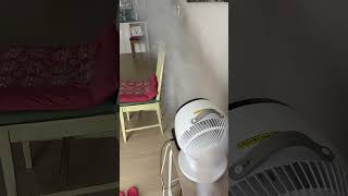 집에서 연무 소독하기 (향균) Fog and disinfect my home.