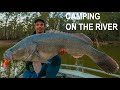 Murray Cod Fishing - Big Fish and Small rivers