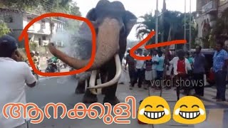 ആന കുളിക്കുന്നത് കണ്ടിട്ടുണ്ടോ..? elephant bath time 😍💙💙 trissur pooram, തൃശൂർ പൂരം