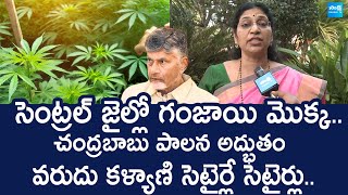 Varudu Kalyani Reacts Ganja Plant in Visakha Central Jail |@SakshiTVLIVE