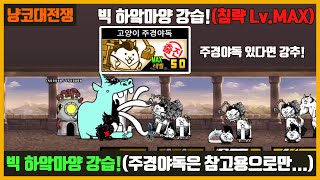 【냥코대전쟁】 빅 하앜마양 강습! (마지막 스테이지) / 주경야독 여기서 최고!