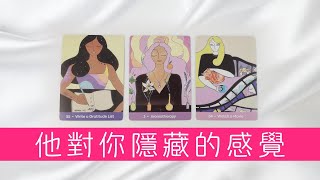 他對你隱藏的感覺！喜歡？好感？玩玩？慾望？ |塔羅占卜|曖昧|戀愛|感情|愛情