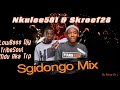 Sgidongo Mix | Nkulee501 | Skroef28 | Tribesoul | Lowbass Djy | By Babza Da J