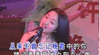 晚霞中的红蜻蜓 晚秋演唱会现场版