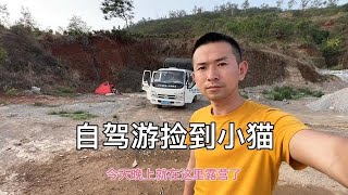 今天从云南昭通开到了四川宁南县。路上发现小猫太可怜决定带走。