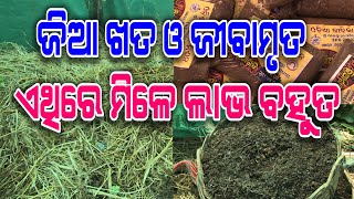 Jia khata o jeevamruta prastuti | ଜିଆ ଖତ ଓ ଜୀଵାମୃତ ପ୍ରସ୍ତୁତିରୁ ଗାଁ ମହିଳାଙ୍କୁ ମିଳୁଛି ଭଲ ରୋଜଗାର