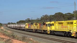 Q4018 LZ3109 ACC6030 and Q4001 on 6025 freight West Kalgoorlie