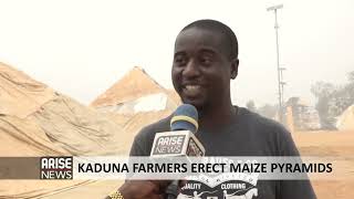 KADUNA FARMERS ERECT MAIZE PYRAMIDS - ARISE NEWS REPORT