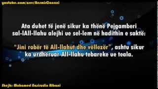 005. Porosi për çdo musliman mbi faqen e dheut - Shejh Albani