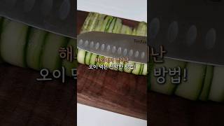 해외에서 난리난 오이 먹는 신박한 방법🥒