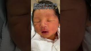 【NICU】生まれた瞬間から入院中の記録【後編】