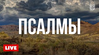 🔴 Прямой эфир Псалмов | Библия в современном переводе