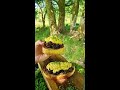 breakfast done right 🔥 shorts menwiththepot cooking asmr food fire nature life relax