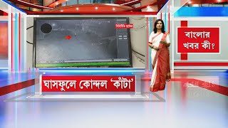 মুর্শিদাবাদের বড়ঞায় ধরা পড়ল কোন্দল ঘিরে সংঘর্ষের ছবি... লাঠি-সোটা হাতে চলে বাড়িভাঙচুরও