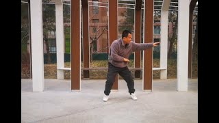 尹派八卦掌-狮形 散手空击 Yin Style Baguazhang