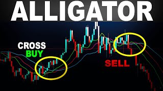 The Good way to use Williams Alligator Indicator ? - Forex Day Trading