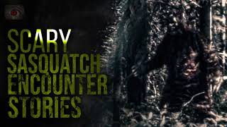 SCARED TO GO OUTSIDE - SCARY BIGFOOT ENCOUNTER STORIES