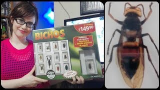 Unboxing Giant Wasp from Real-life Bugs \u0026 Insects (Bichos) Collection from National Geographic