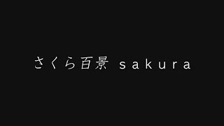 『さくら百景　名所を彩る美しい季節の魔法・新撮完全版』トレーラー・本編 ver.