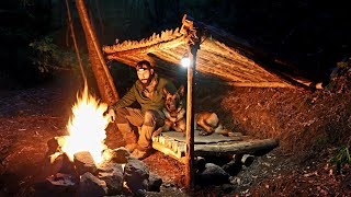 Bushcraft Shelter Camping in the Wild - Wilderness Survival, Nature Documentary, ASMR, DIY