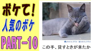 ボケて（bokete）! 大爆笑！　厳選　人気のボケ特集　PART-10　　ボケてまとめ画像集！