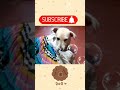 අනේ අනේ 😠😐😍🐕 subscribe like comment share srilanka