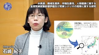 水資源、陸域生態系、作物生産性、人間健康に関する全球気候変動影響評価および気候シナリオの開発に関する研究