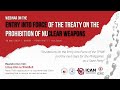 Webinar on the Entry into Force of the Treaty on the Prohibition of Nuclear Weapons