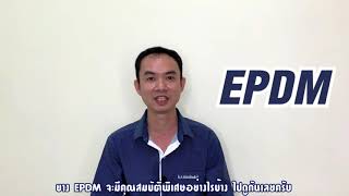 [EP.6] Ethylene Propylene Diene monomer EPDM