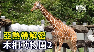 動物星天頻道 EP6《亞熱帶解密：木柵動物園2》搶先看 [4K] ｜傑尼龜、企鵝、丹頂鶴、長頸鹿