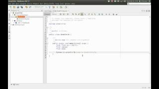Introduction to Programming using Java: 4. NetBeans | Varibles (Data Type) | Constants