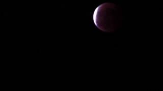 皆既月食  Lunar Eclipse 2014 Tokyo