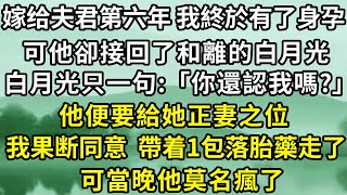 嫁给夫君第六年 我終於有了身孕，可他卻接回了和離的白月光，白月光只一句:「你還認我嗎?」，他便要給她正妻之位 ，我果断同意  帶着1包落胎藥走了，可當晚他莫名瘋了！