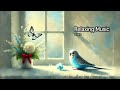 guitar 81 piano relaxing music soothing guitar for reading study tea coffee bgm