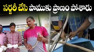 సర్జరీ చేసి పాముకు ప్రాణం పోశారు.. | New Life For Snake | ABN Digital