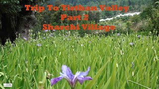 Tirthan Valley Part 2// Beautiful Sharchi Village Trek #travelvlog #travel #himachal