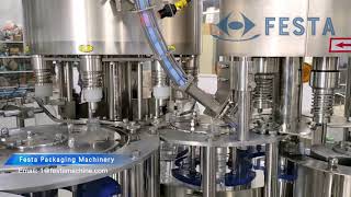 3000BPH(500ml) Automatic Small Scale Water Filling Machine