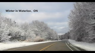 安省滑铁卢冬日时光 Winter in Waterloo，ON | McCabe Irish Restaurant| Waterloo Town Square |  University Avenue