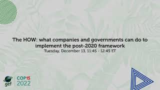 CBD COP15 (Dec. 13): What companies and governments can do to implement the post-2020 framework