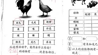 一年级科学：活动本28\u002629页《动物的身体部位》