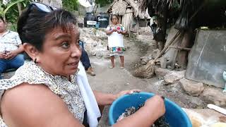 Sabores de Quintana Roo ( Relleno Negro )