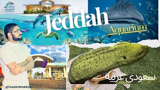 Aquarium In Saudi Arabia | Fakieh Aquarium In Jeddah | Aquarium Fish | Jeddah Saudi Arabia 4K Video