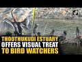 Thoothukudi Estuary comes to life with scenes of birds flocking to the coastal city in Tamil Nadu